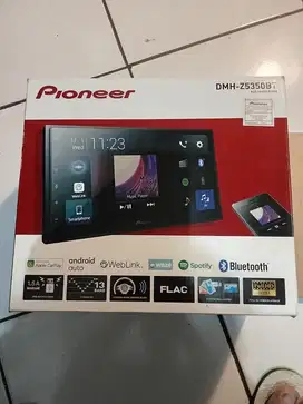 Audio pioneer 2023 NEGO