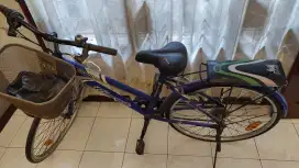 Sepeda Wimcycle Bekas