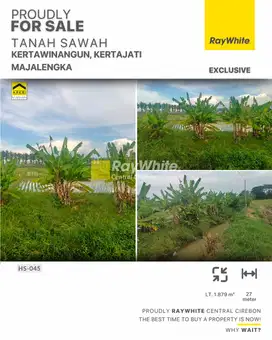 Dijual Tanah Sawah Kertajati Pinggir Tol