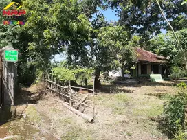 Dijual Tanah Kebun di Desa. Watubuncul, Giri - Banyuwangi