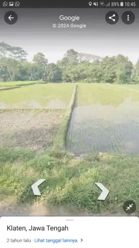 Dijual Sawah di Gumul Karangnongko klaten