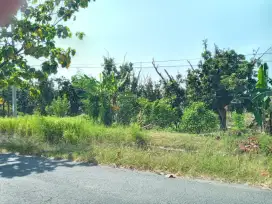 Tanah Strategis pinggir jalan