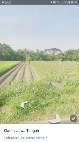 Dijual sawah di Suruan Gumul Karangnongko, Klaten