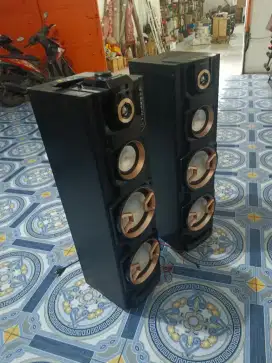 Sound System Polytron