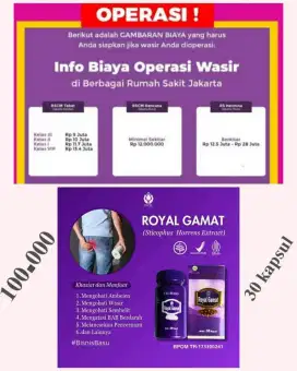 Royal gamat propolis untuk ambien wasir