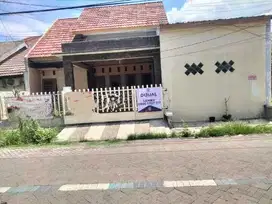 Rumah rewwin waru