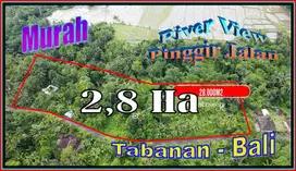 Strategis 280 are View Sungai dan Jungle Pinggir Jalan aspal