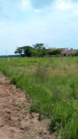 Dijual Sawah Atau Tanah Pasar Tegalgubug