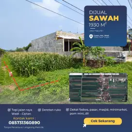 DIJUAL SAWAH HIJAU DI WEDI KLATEN