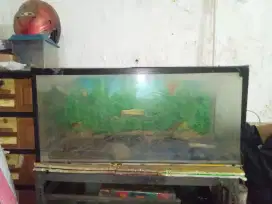 Aquarium ukuran 100 x 45 x 40 cm