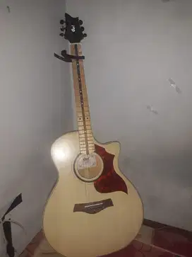 Gitar cort custom