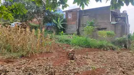 Tanah Murah Bukit Pajajaran Pasir Impun