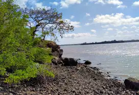 Tanah tebing loss pantai di jerowaru dekat pantai pink