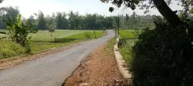 tanah sawah murah air melimpah  di gunungpati