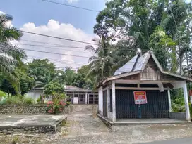 Rumah dan Bangunan