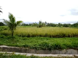 Tanah sawah dijual