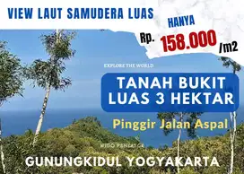 Jual Tanah Pantai Bukit Datar Pinggir Jalan Dekat Pantai Yogyakarta