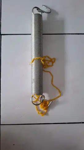 Per ayunan tunggal