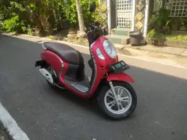 Honda scoopy style 2021