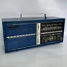 Radio telesonic