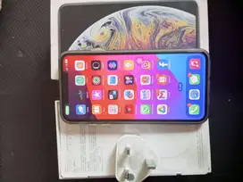 XS MAX 256 INTER