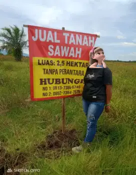 Dijual Tanah Sawah,Harga Terbaik Dibawah Harga Pasaran