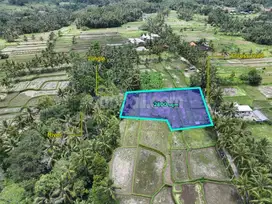 2800m² beautiful land consists of 4 plots for sale in Kelusa,Ubud,Bali