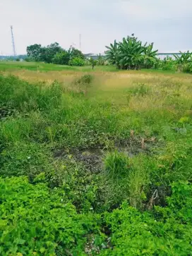 Tanah Murah Cocok untuk Kos kosan dekat pabrik di Pandaan Pasuruan