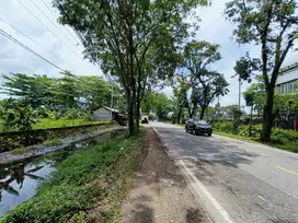 pinggir jalan Khatulistiwa Batu Layang Pontianak