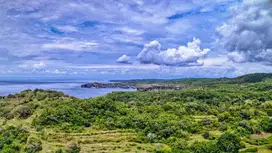 Nusa Penida Bali, Kelingking Beach View Los Tebing