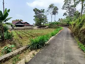 Tanah kemuning Murah