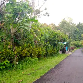 jual tanah antosari dekat soka tabanan