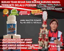 Jamu merpati master power