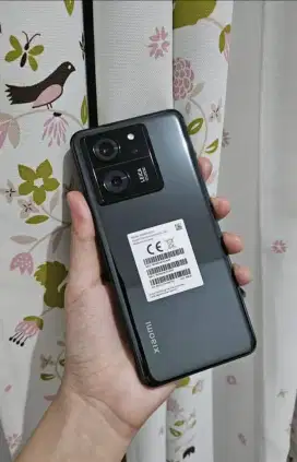 Xiaomi 13T 12/256