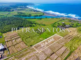 TANAH OCEAN VIEW YEH SUMBUL DEKAT MEDEWI