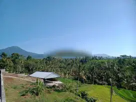 Tanah murah view sawah dan gunung bonus bangunan villa di Tabanan