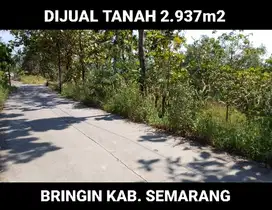 JUAL MURAH TANAH BRINGIN KAB. SEMARANG