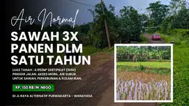 SAWAH PRODUKTIF || DI TENGAH PERKAMPUNGAN