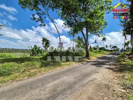 Dijual Tanah tepi Jl. Desa Banjar, Licin - Banyuwangi