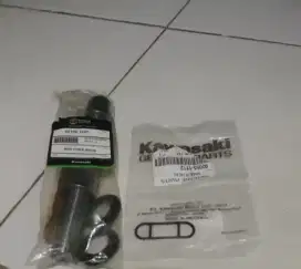 Part Kawasaki ninja rr