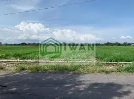 Tanah Luas Zona Merah Hadap Jalan Raya DPU