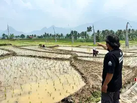 Dijual Kavling Sawah Produktif Bogor Timur