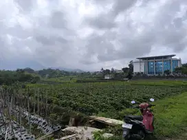 Tanah sawah nempel internasional boarding School al azhar