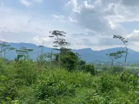 Tanah best view cocok untuk villa di Sukamakmur bogor