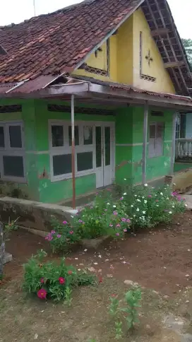 Rumah murah & kebun jati