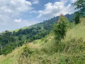 Tanah best view cocok untuk camp ground di kawasan Cijeruk Bogor