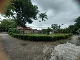 Pekarangan kebun alpukat cocok untuk masa pensiun, industri & kapling