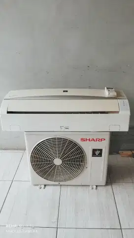 Ac sharp 1/2 pk