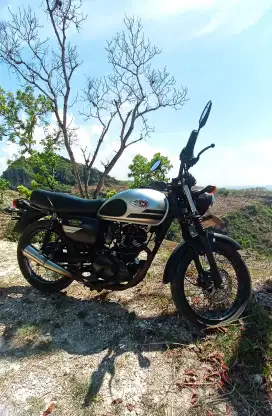 Kawasaki W175 SE 2019