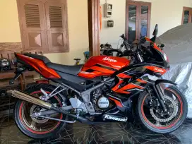 Kawasaki Ninja RR 2015